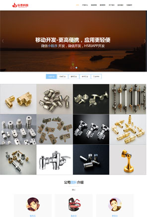 五金公司官网开发就找俍辰科技