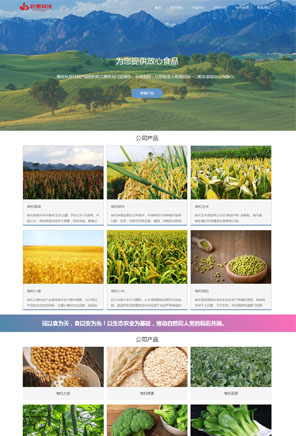 有机农产品公司网站就找俍辰科技